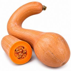 Courge de Nice local (antibes)